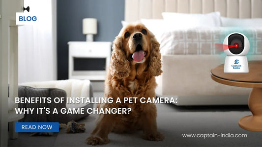 Benefits of Installing a Pet Camera: Why It's a Game Changer?