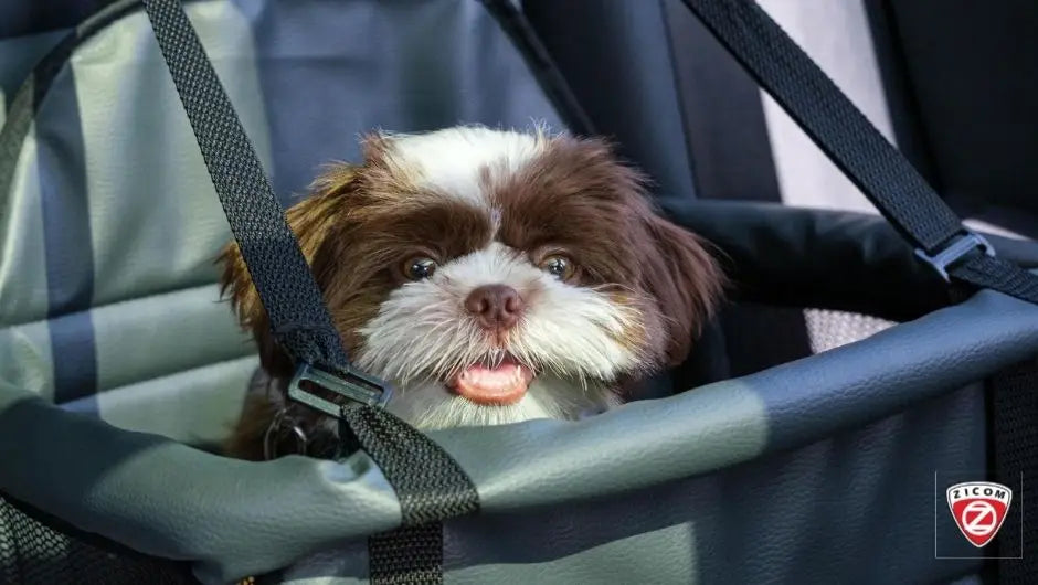 Customizing Pet Safety Plans for Different Pet Needs