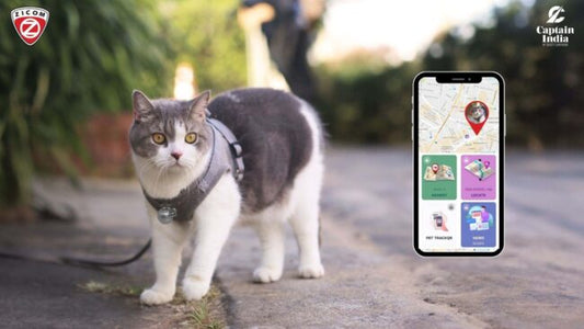 Elevating Pet Safety: The Role of GPS Trackers - Captain India