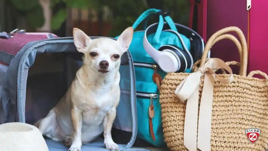 Maximizing Pet Safety with Advanced GPS Tracking Technology - Captain India