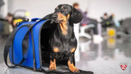 Navigating Pet Safety Regulations: Compliance and Best Practices - Captain India