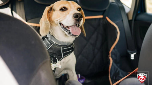 Navigating the Pet Safety Landscape: A Comprehensive Guide - Captain India
