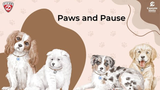 The Paws and Pause: Understanding the Inertia in Spending on Pet Safety in India - Captain India