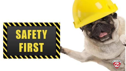 The Role of Technology in Pet Safety: Trends Shaping the Future - Captain India