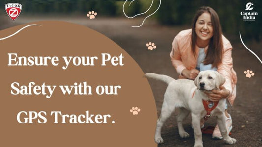 Unlocking the Future of Pet Safety: The GPS Tracker Revolution - Captain India