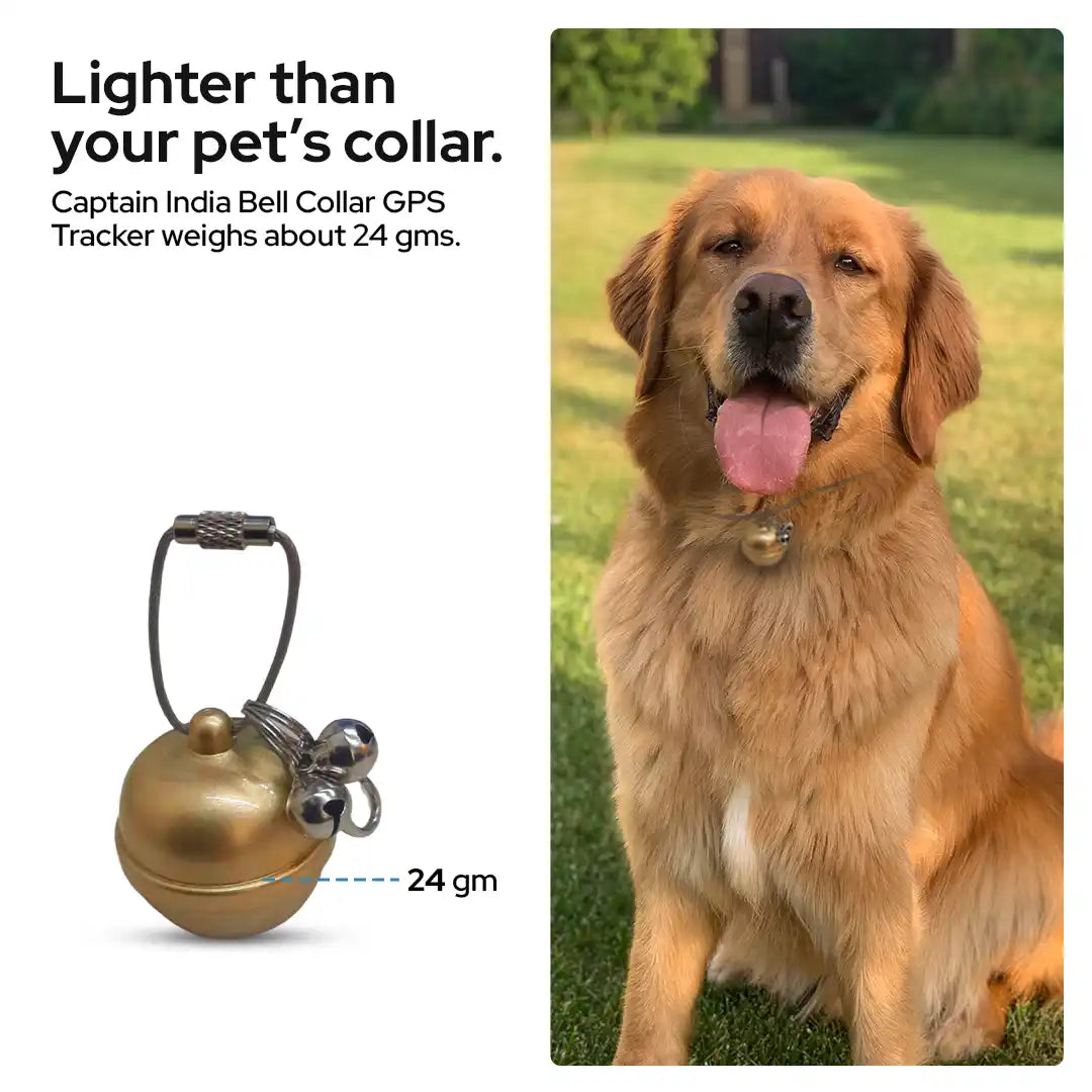 Gps enabled dog collar india 2025