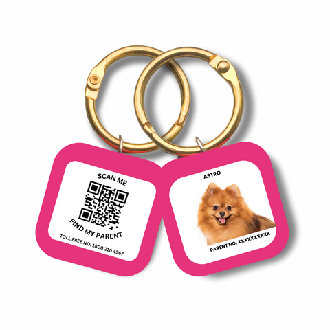 Captain India's Personalized Pet’s Customized Tags with QR Code Technology