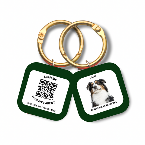 Captain India's Personalized Pet’s Customized Tags with QR Code Technology