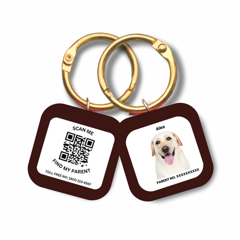 Captain India's Personalized Pet’s Customized Tags with QR Code Technology