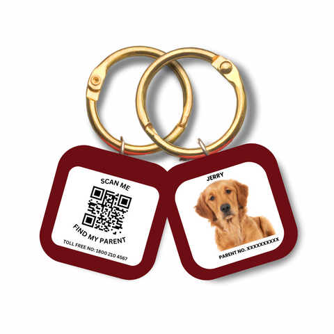 Captain India's Personalized Pet’s Customized Tags with QR Code Technology