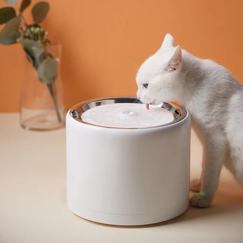 EverSweet 3 Pro - UVC (Water Fountain)