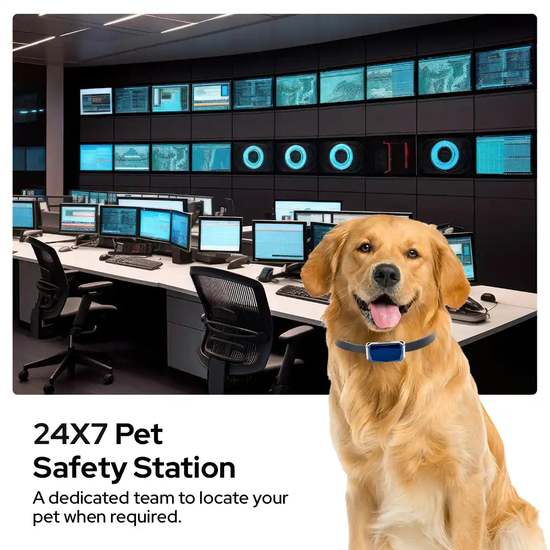 24/7 pet safety station