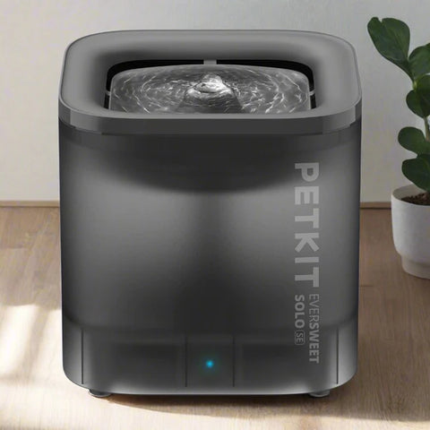EverSweet Solo SE (Water Fountain)