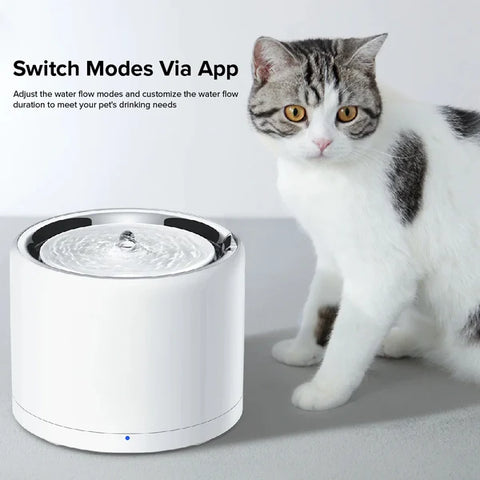 EverSweet 3 Pro - UVC (Water Fountain)