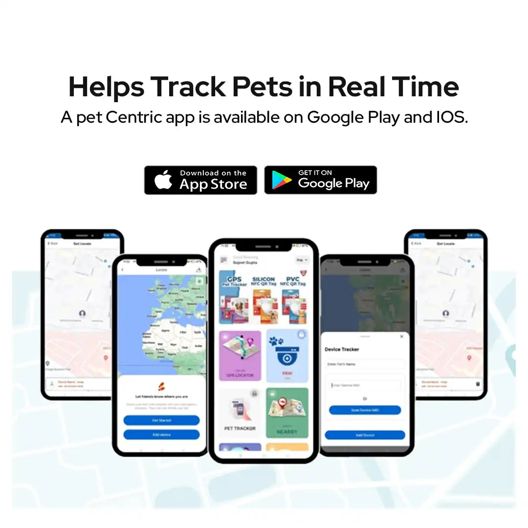 Real time pet centric app