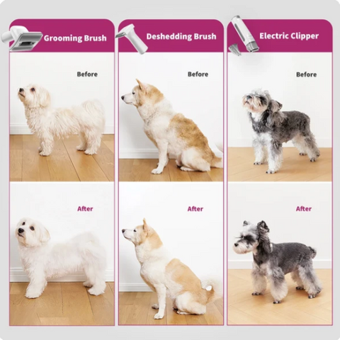 AirClipper - 5 in 1 Grooming Kit