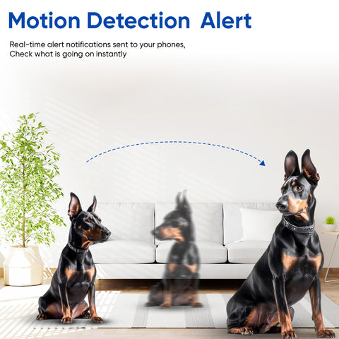 Captain India Smart Paw Camera – 2MP HD Pet Monitor with 2-Way Audio & Night Vision | Free QR Tag, Vet Consult & 24/7 Safety Station | Powered by Zicom