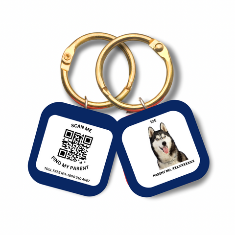 Captain India's Personalized Pet’s Customized Tags with QR Code Technology