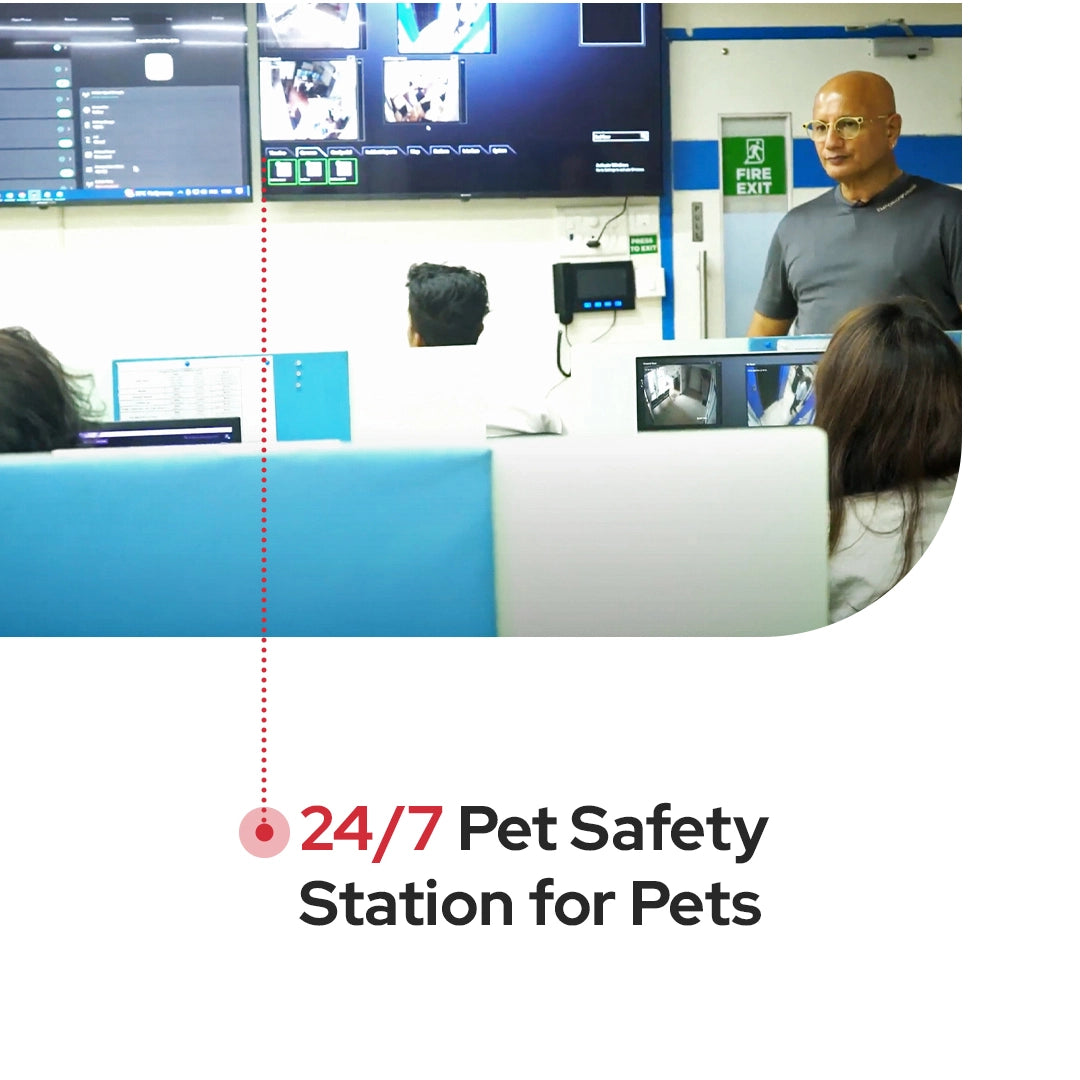 24/7 Pet Safety Station for Pets