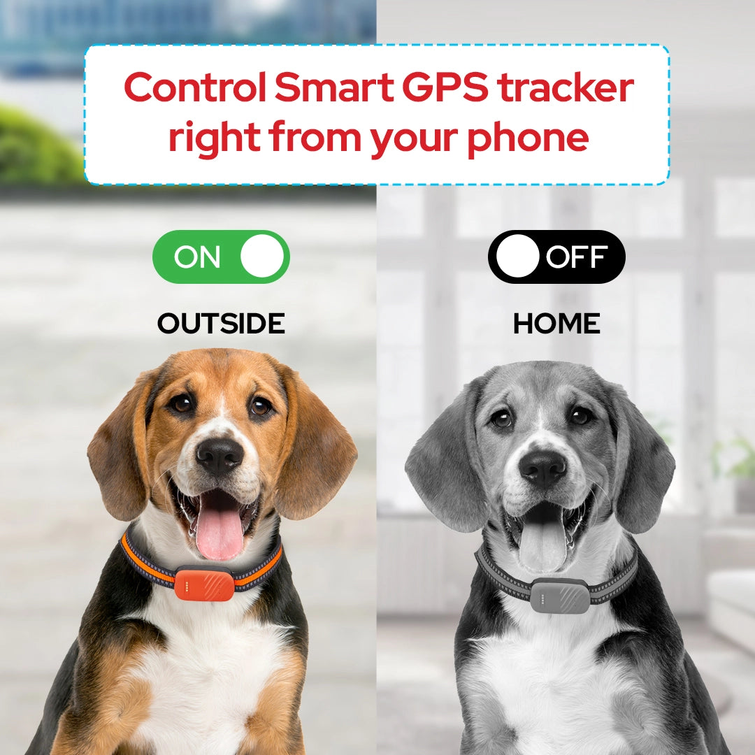 control smart-4G GPS tracker from phone