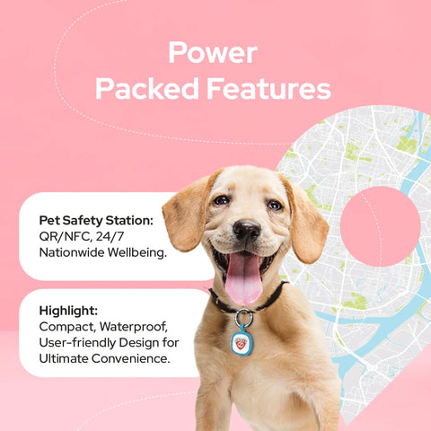 24/7 QR, NFC pet safety station