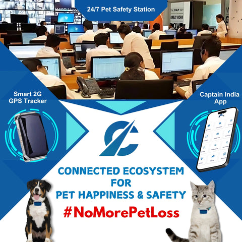 Captain India Blue Collar GPS Tracker: for Dogs, Cats & Other animals | with 24/7 Pet Safety Station | 1 Year Sim Subscription Included | Long Battery Life | Free Pet Smart QR Tag | From the Leaders in Safety