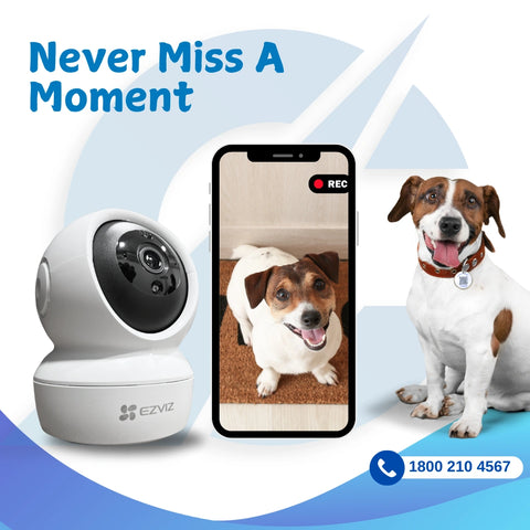 Captain India Smart 2MP Indoor Paw Camera for Dogs, Cats & Other animals | With A 24/7 Pet Safety Station | Free Pet Smart QR Tag | From the Leaders in Safety