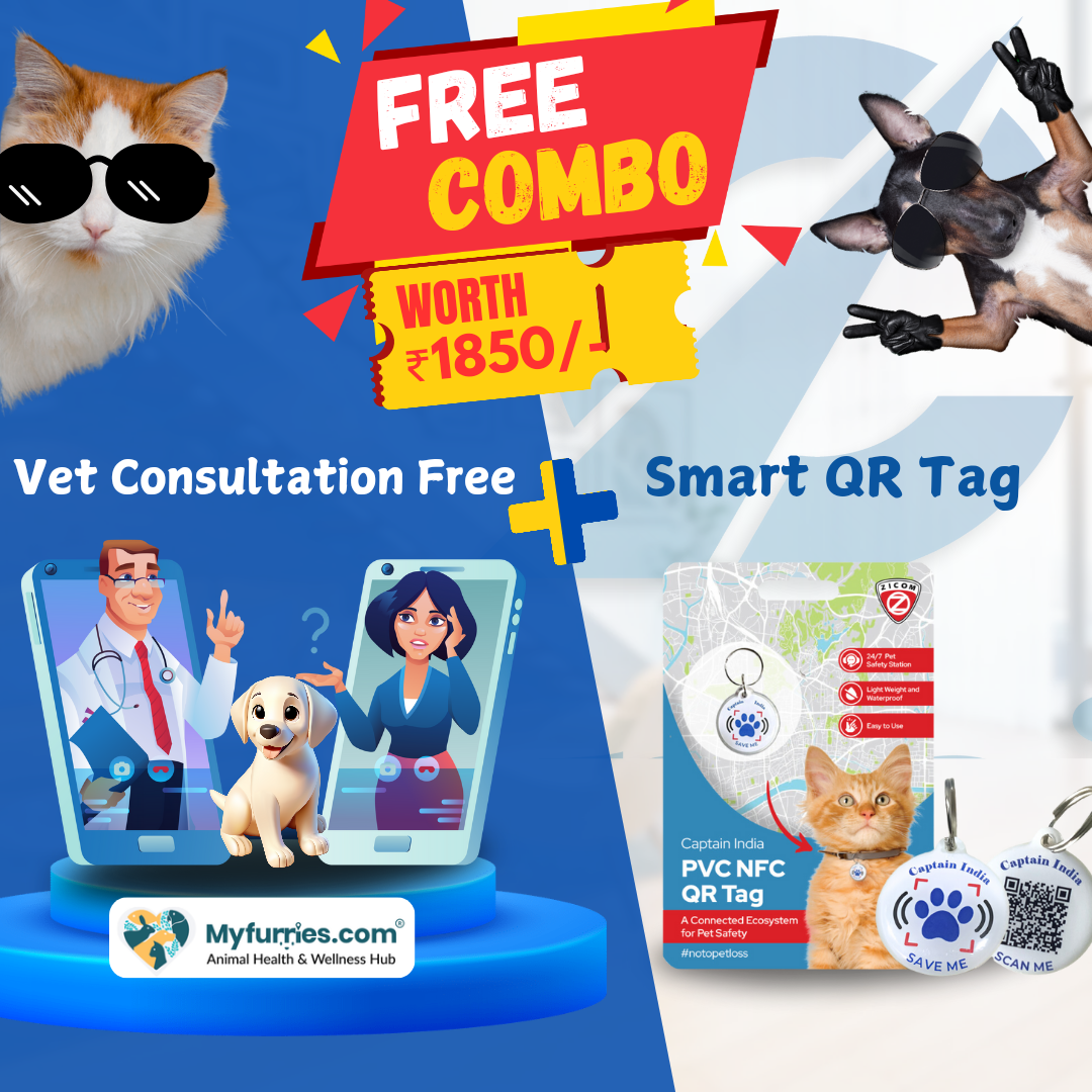 Captain India Smart 4G GPS Tracker: for Dogs, Cats & Other animals | with 24/7 Pet Safety Station | 1 Year Sim Subscription Included| Long Battery Life | Free Pet Smart QR Tag | From the Leaders in Safety