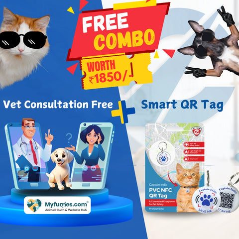 Captain India Smart Bell GPS Tracker: for Dogs, Cats & Other animals | with 24/7 Pet Safety Station | 1 Year Sim Subscription Included | Long Battery Life | Free Pet Smart QR Tag | From the Leaders in Safety