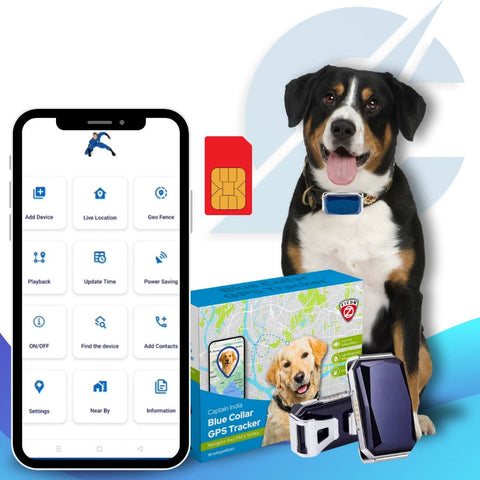 Captain India Blue Collar Lifestyle GPS Tracker | with 24/7 Pet Safety Station | 1 Year Sim Subscription Included | Long Battery Life | Free Pet Smart QR Tag - Captain India