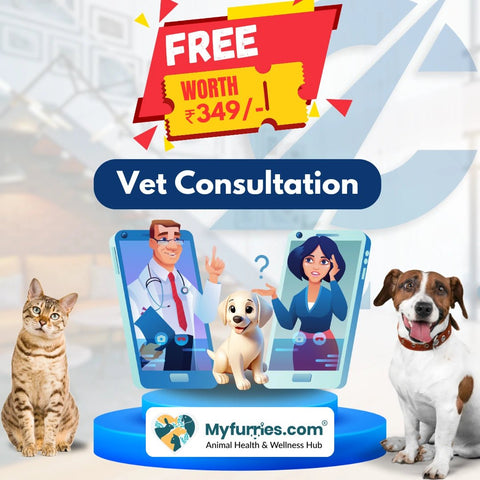 Captain India Pet Smart Aadhar Tag. (Silicon) - Captain India