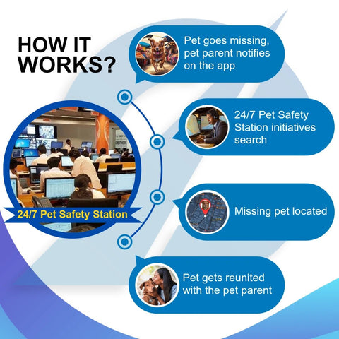 Captain India Smart Bell Lifestyle GPS Tracker | with 24/7 Pet Safety Station | 1 Year Sim Subscription Included | Long Battery Life | Free Pet Smart QR Tag - Captain India