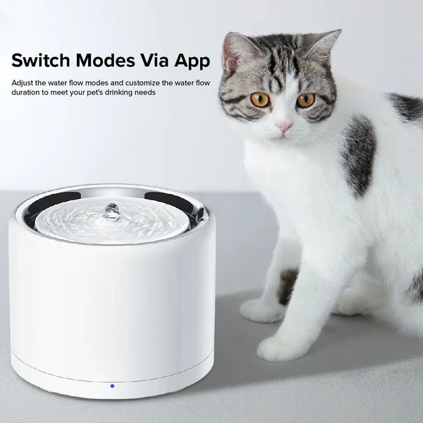 EverSweet 3 Pro - UVC (Water Fountain) - Captain India