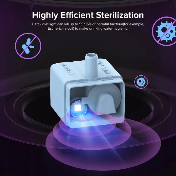 EverSweet 3 Pro - UVC (Water Fountain) - Captain India