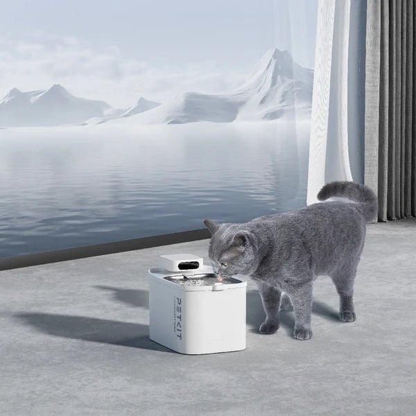 EverSweet Max (Water Fountain) - Captain India