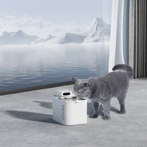 EverSweet Max (Water Fountain) - Captain India