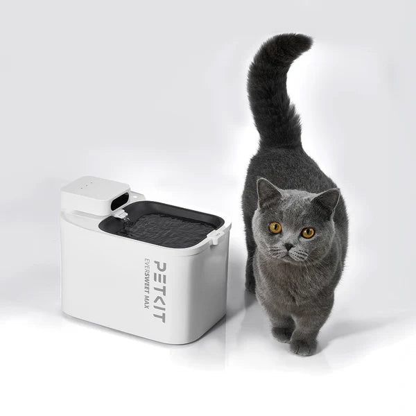 EverSweet Max (Water Fountain) - Captain India