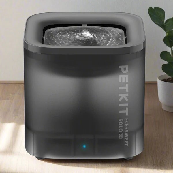 EverSweet Solo SE (Water Fountain) - Captain India