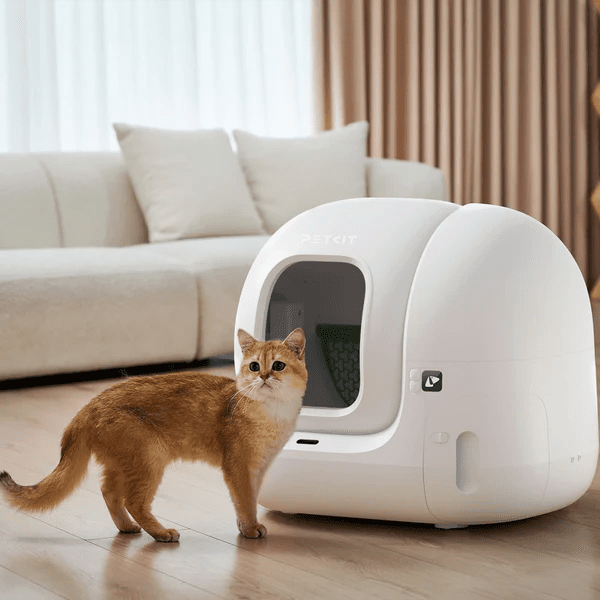 Puramax 2 - Litter Box - Captain India