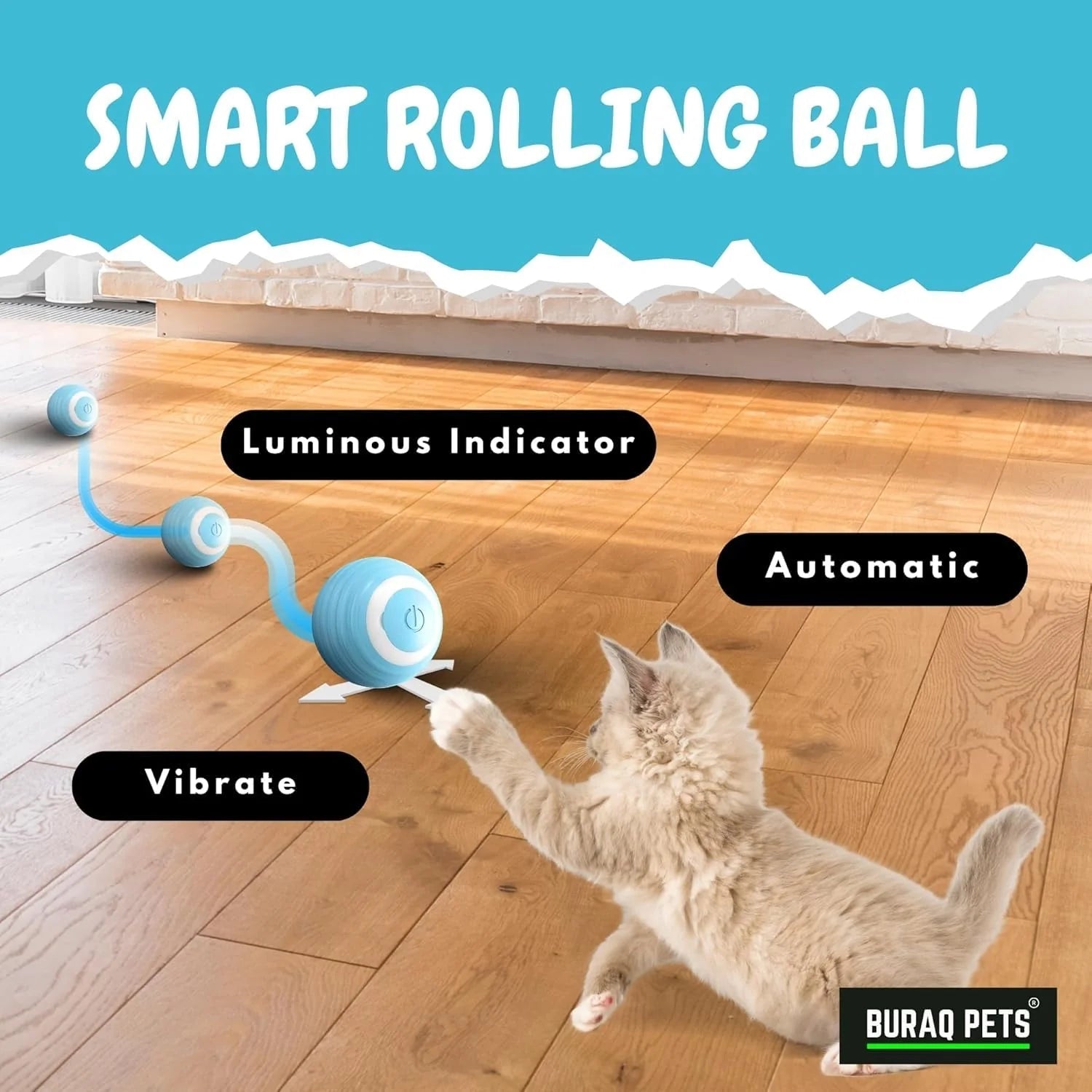 Smart Gravity 360° Self Roller Ball Cat Toy - Captain India