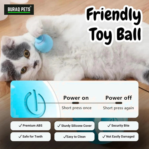 Smart Gravity 360° Self Roller Ball Cat Toy - Captain India