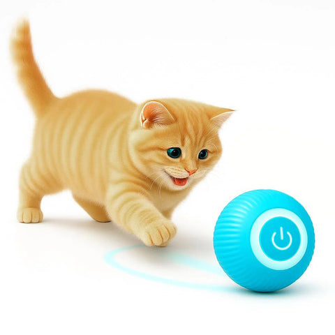 Smart Gravity 360° Self Roller Ball Cat Toy - Captain India