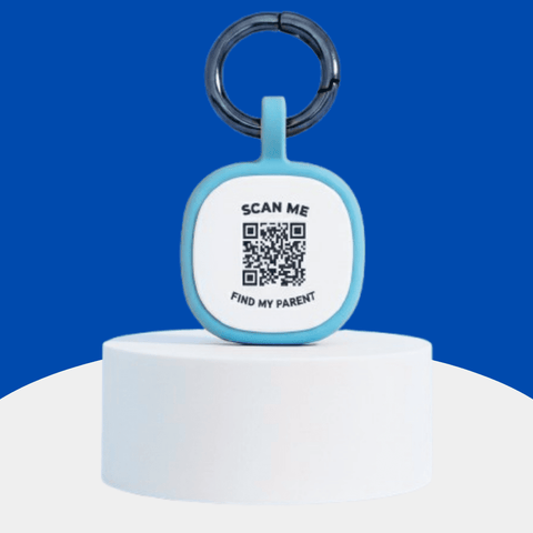 Ultimate Pet Safety Combo – Ensuring Your Furry Friends Are Safe at Home and Beyond - Captain India